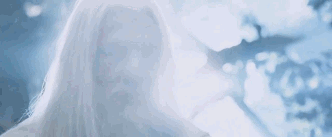 Giphy Not the right time, Gandalf the White.